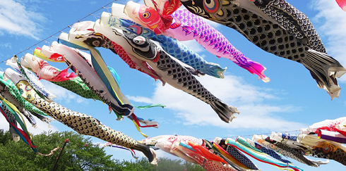 こどもの健やかな成長を願う家づくり