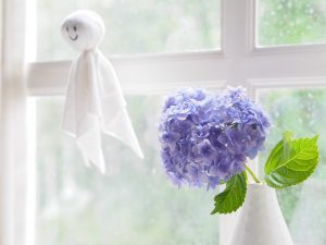 梅雨の湿気と調湿する家